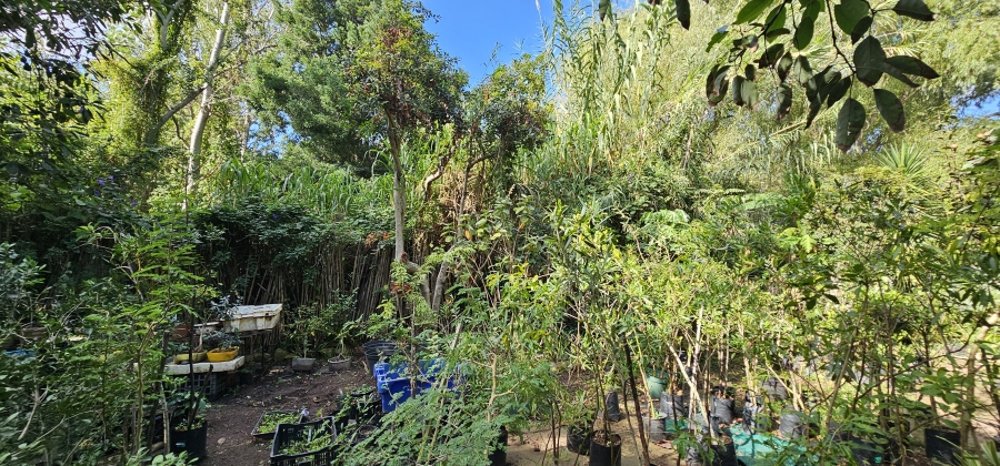 5 Bedroom Property for Sale in Swellendam Western Cape